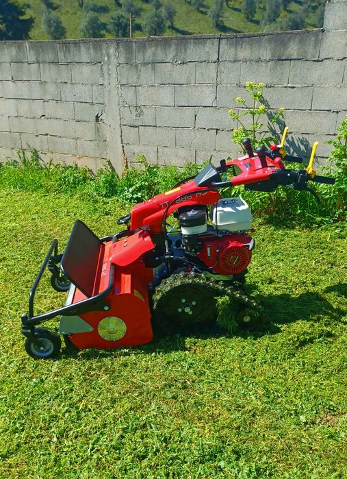 Limpeza e desmatação de terrenos, lotes e quintais