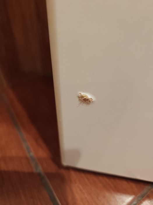 Szafka z umywalką do łazienki