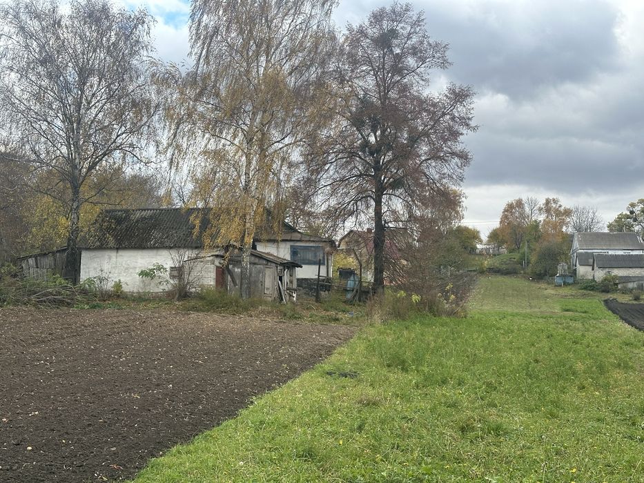 Продам будинок біля озера в Городищі