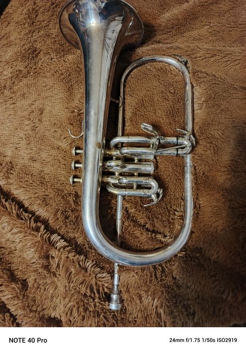 Fluegelhorn Venus