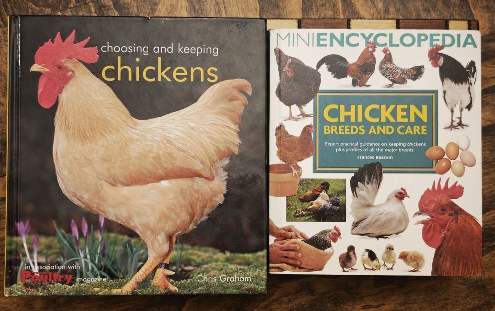 Mini encyklopedia rasy kur i opieka oraz Wybór i hodowanie kurczaków