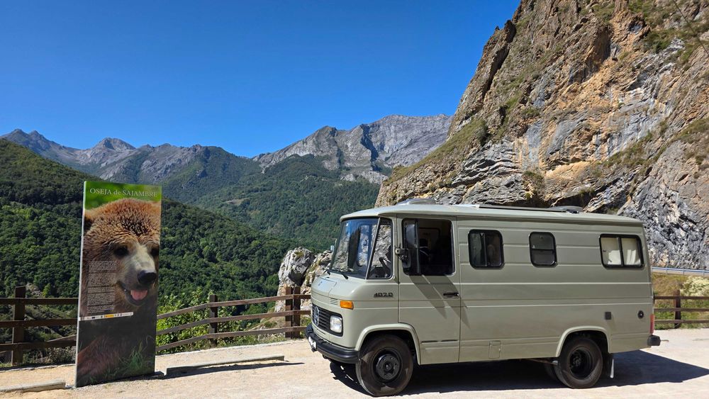 Mercedes 407D Dudo