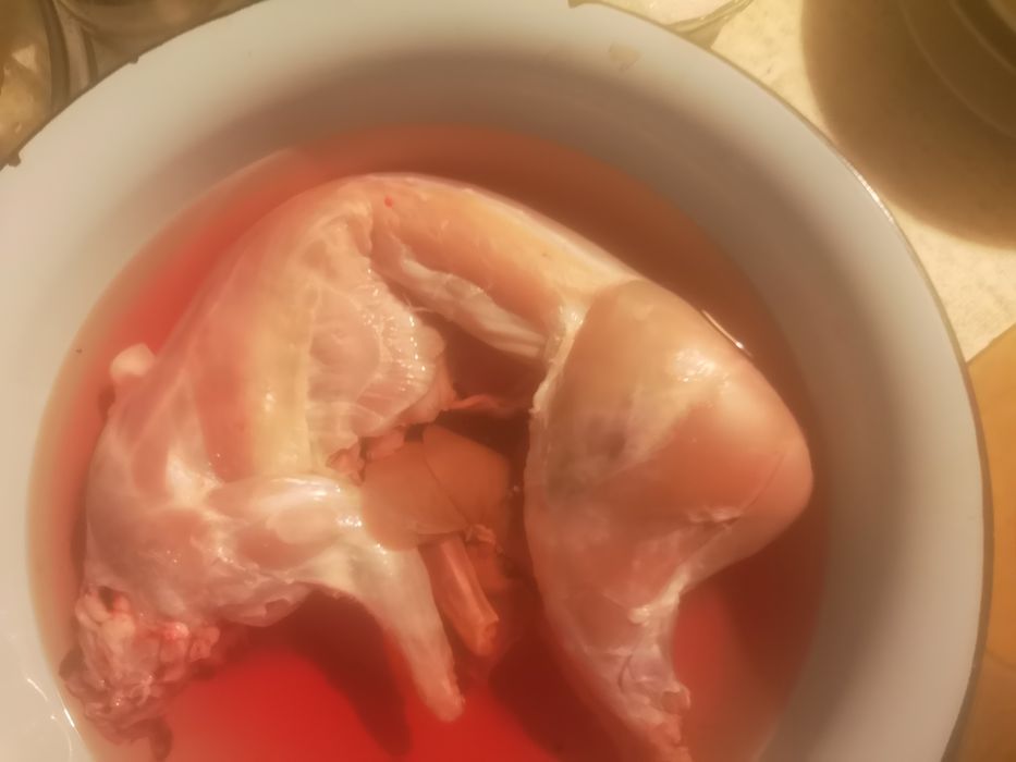 Tuszki królicze młode