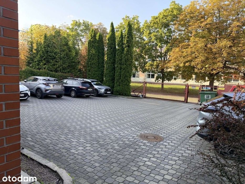 Zdjęcie 8