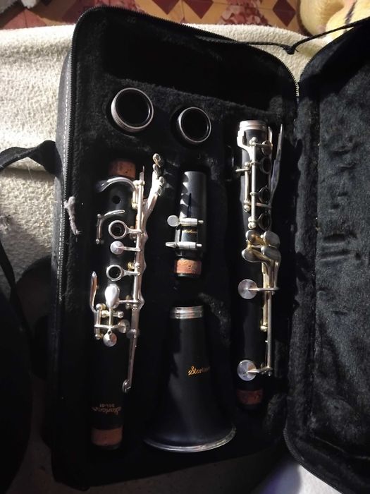 Clarinete com pouco uso aceito  vir buscar em mãos