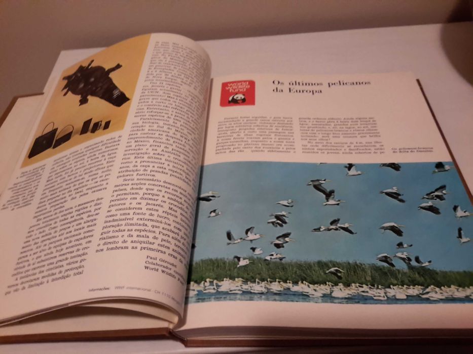 Fauna (World Wildlife Fund)