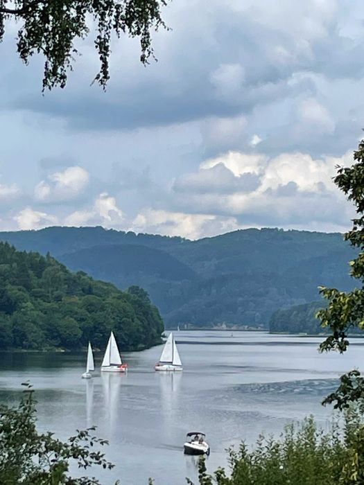 Działka w Bieszczadach  OLCHOWIEC 14,9ar+projekt+prad+woda  gm. Czarna