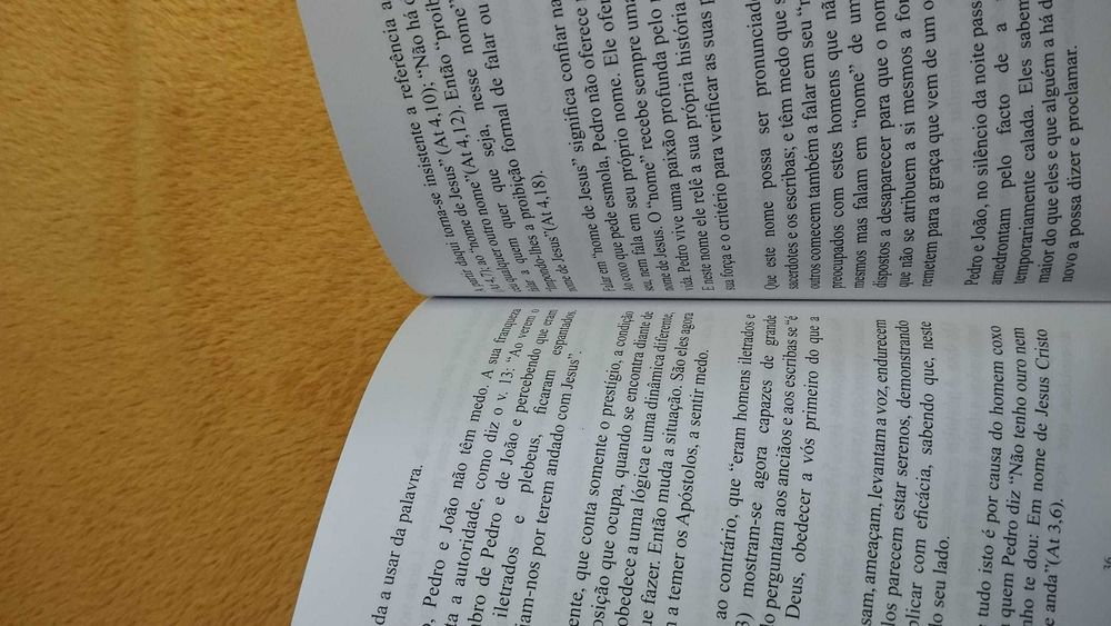 A Suave Reconfortante Alegria de Evangelizar