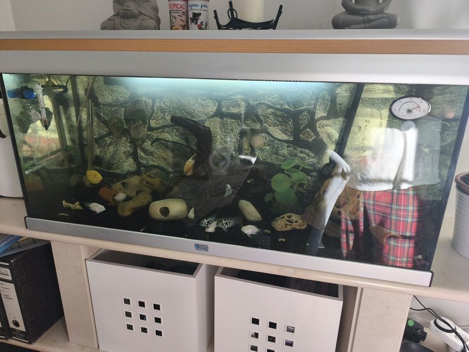 Vendo aquário aquaatlantis de 200 litros( ou troco por aves do meu interesse)