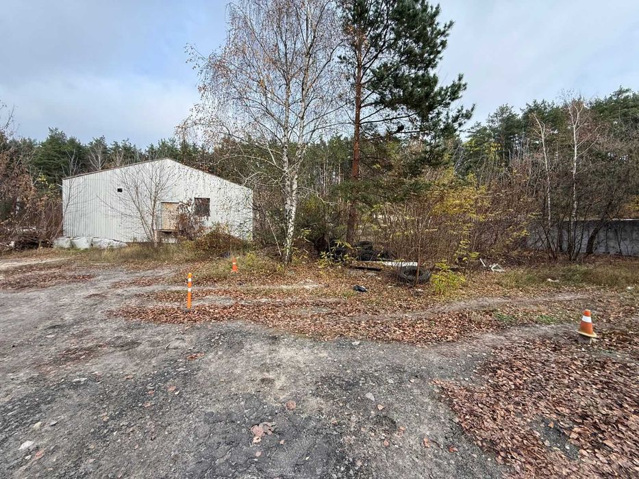 ЄМК ДП «Науковий селекційно-генетичний центр рибництва»