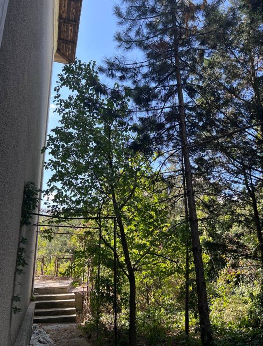 Будинок за адресою вул. Санаторна (площа 254 м²) - Atlanta.ua - фото 13