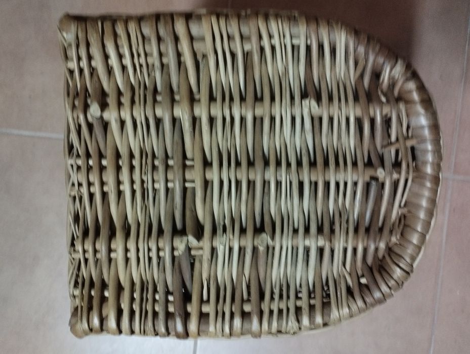 Transportadora de gatos