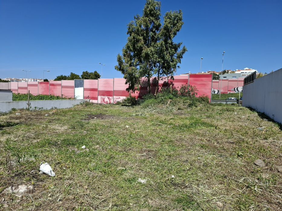 Limpeza de Terrenos e Jardinagem