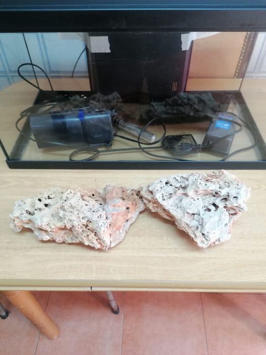 Aquário para peixes