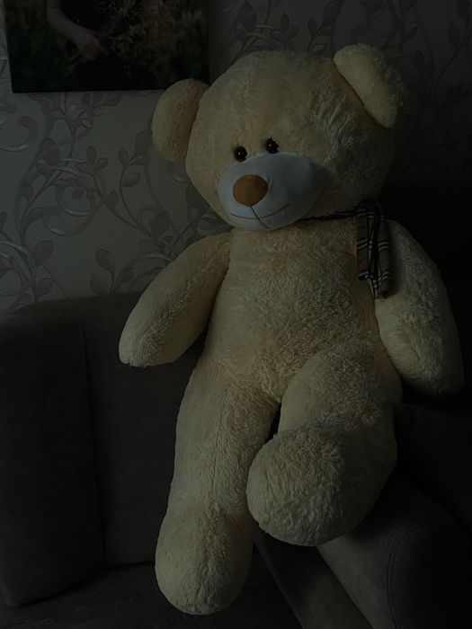 Плюшевый мишка.