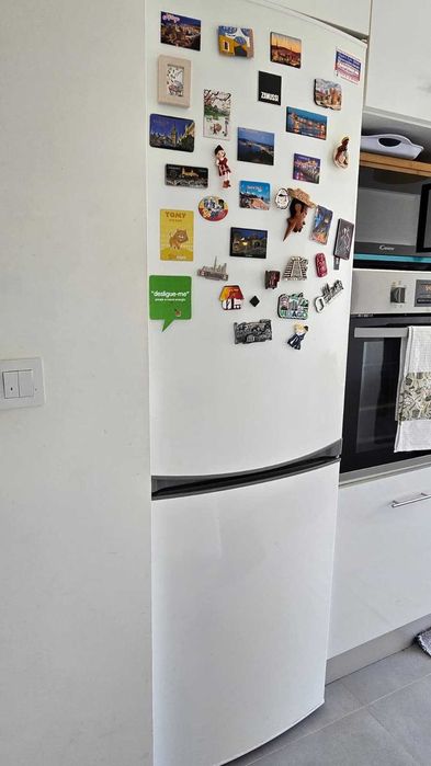 Frigorífico combinado Zanussi No Frost 318 L – 185 cm