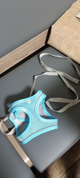 Для маленької собачки