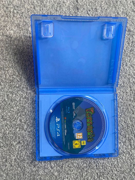 Gra Terraria PS4