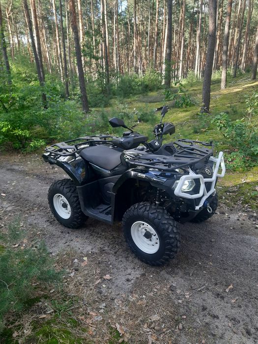 Cforce  520S 2024rok