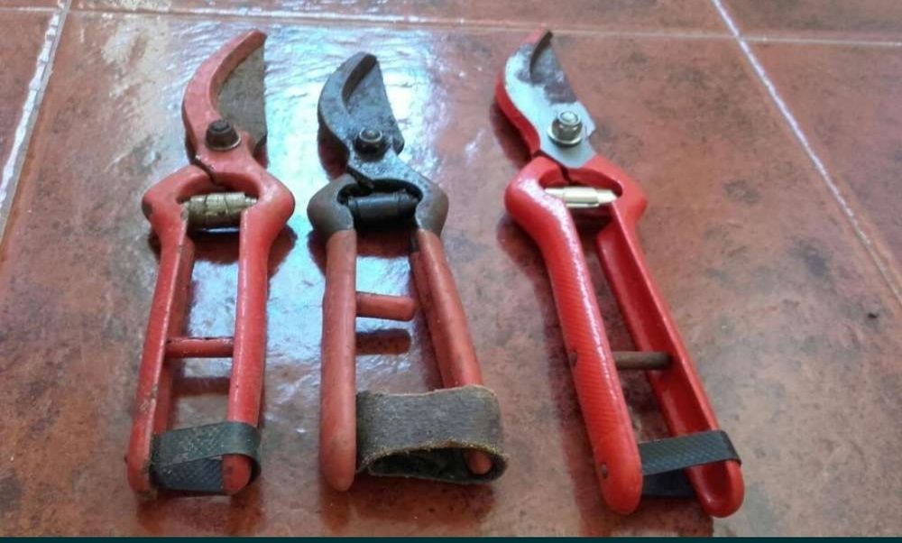 Tesouras de Poda