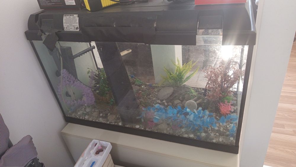 Aquário grande pouco uso