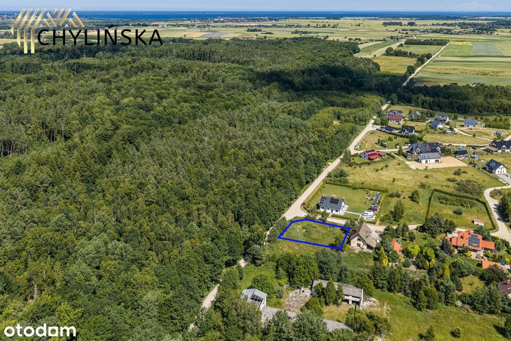 Działki w sąsiedztwie lasu i drogi, Brudzewo!