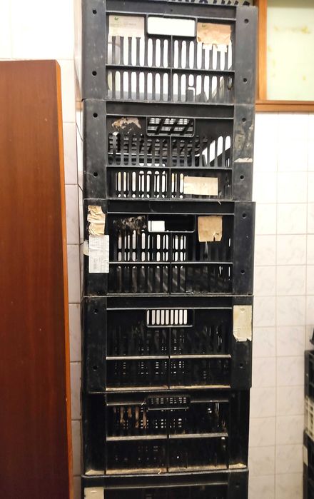 Cestos/Tabuleiros para Frutas/ Legumes