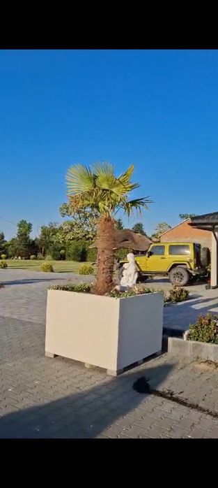 Termodonice na taras