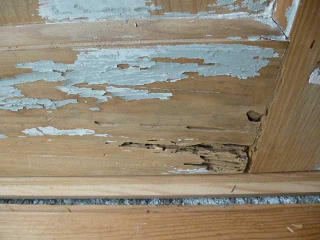 1 Par de Portadas interiores para janelas