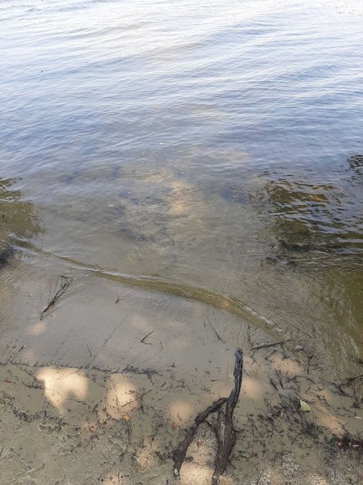 Сдам 2-3й этажи в доме в Соловьиной роще возле воды. Без мебели