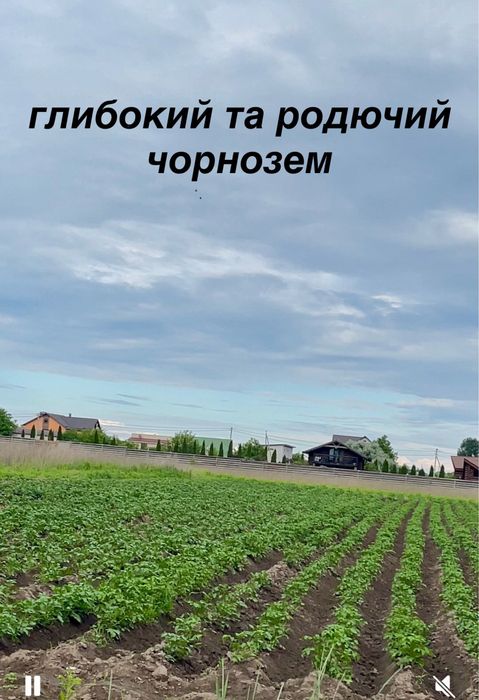 Родюча ділянка від власника: широкий фасад, асфальтований доїзд — Красилівка - View 2