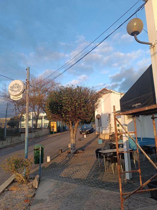 Jardineiro particular para cuidar do seu espaço