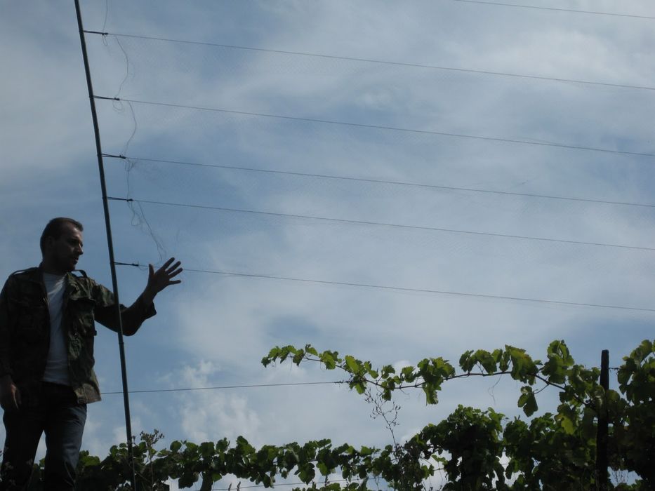 Chamariz  com comando