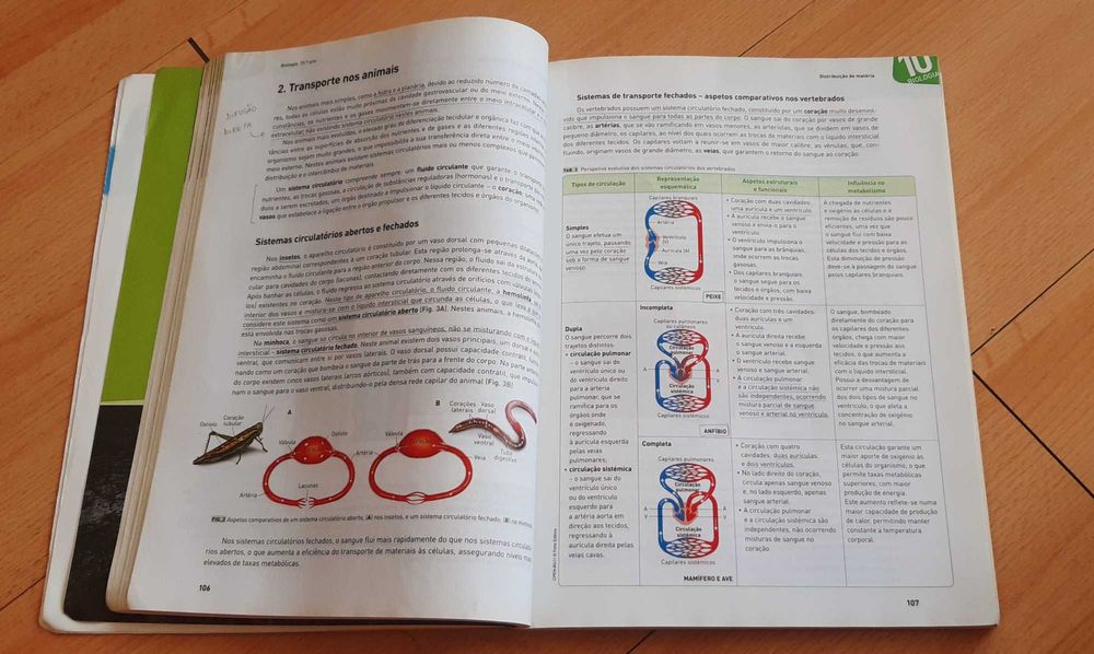 Livro de preparação ao Exame - Biologia e Geologia + Física e Química