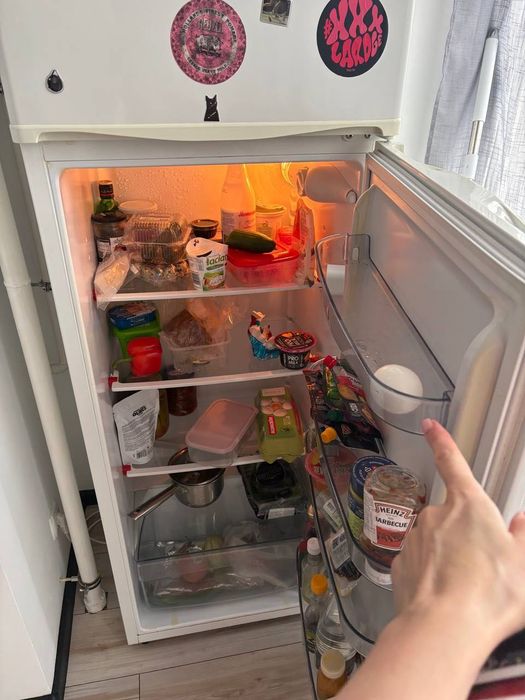 Холодильник SHAIGE