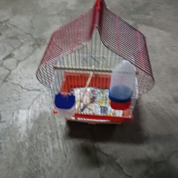 Conjunto de gaiolas em bom estado de conservação.