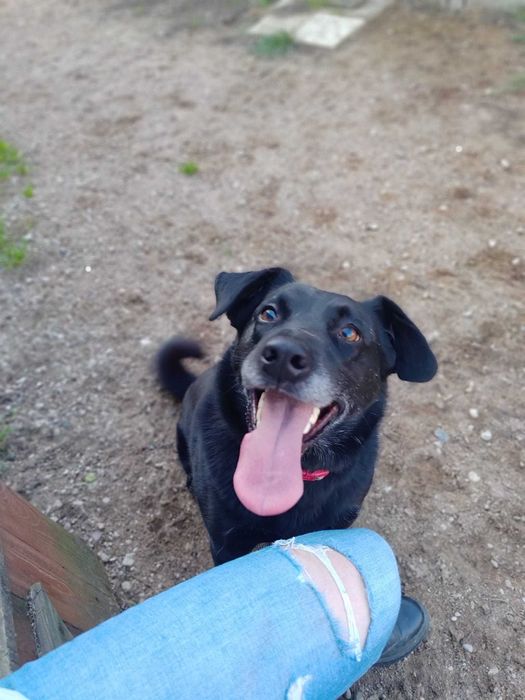 Przerwij złą passę w życiu Harrego