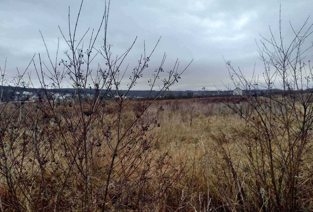 Продаж земельної ділянки в Чернівцях,вул. Козацька, 6 - View 5