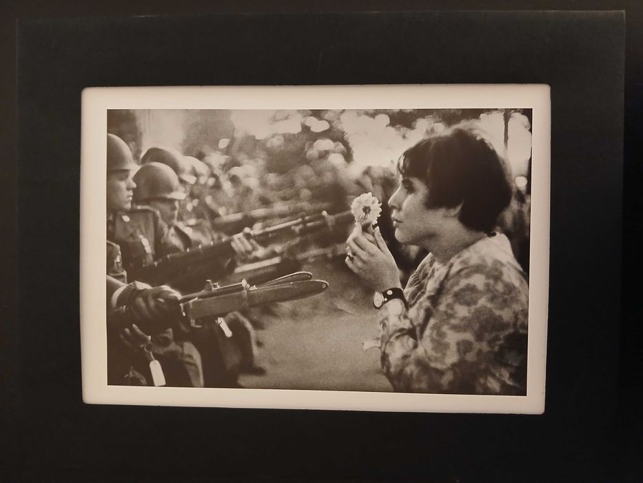 Coleção de fotografias