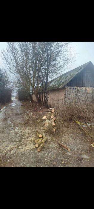 Видалення аварійних дерев, Покос трави, Розчищення ділянок
