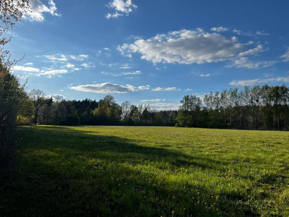 Działki z WZ - Miłkowo - Widok 3