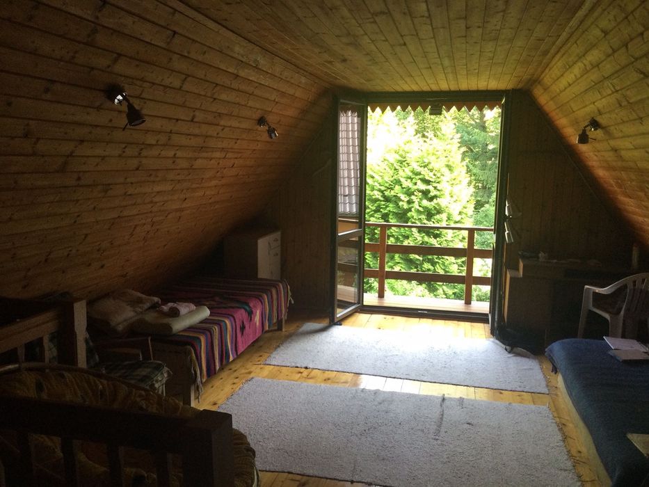 domek letniskowy otoczony lasem