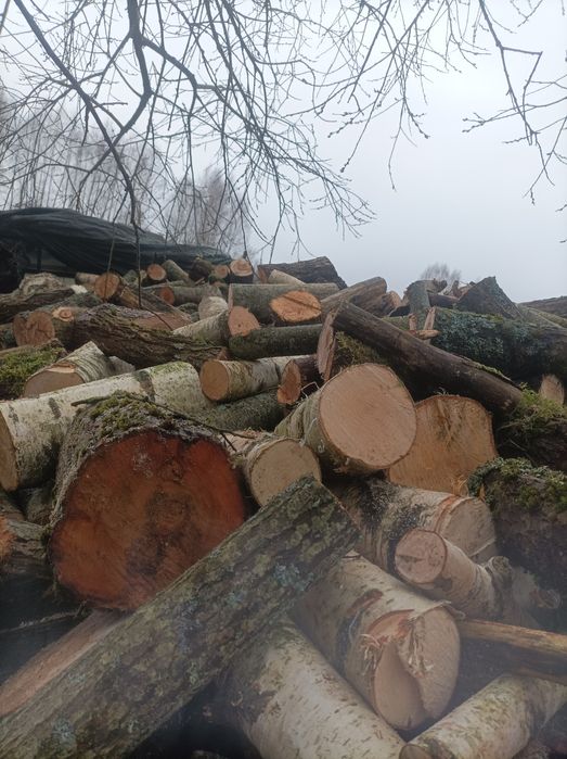 Witam sprzedam drewno Kominkowe i Opałowe.Przesuszone Transport od 2
