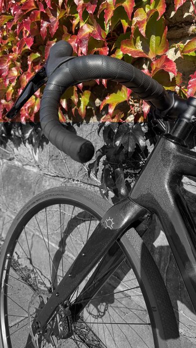 Pride Jet Rocx 8.1 Carbon M