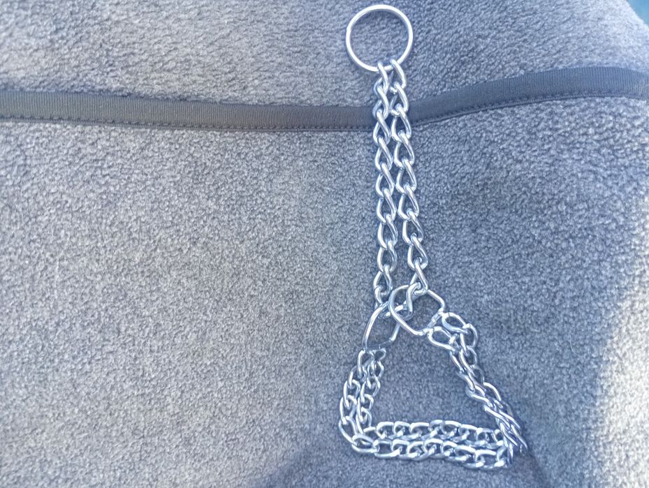 Строгий ошийник для собаки 30см.