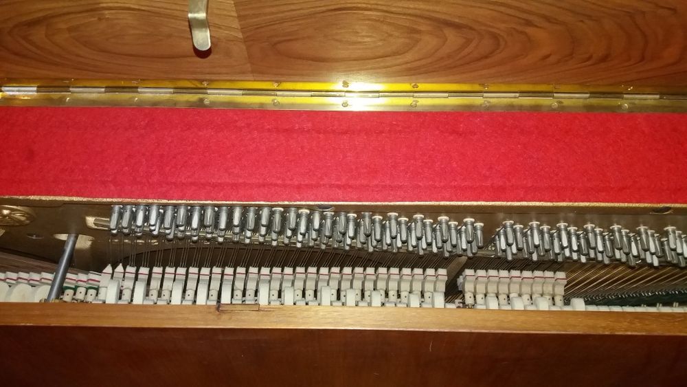 Pianino Finger polecam