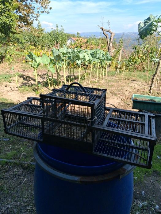 Gaiolas para Venda