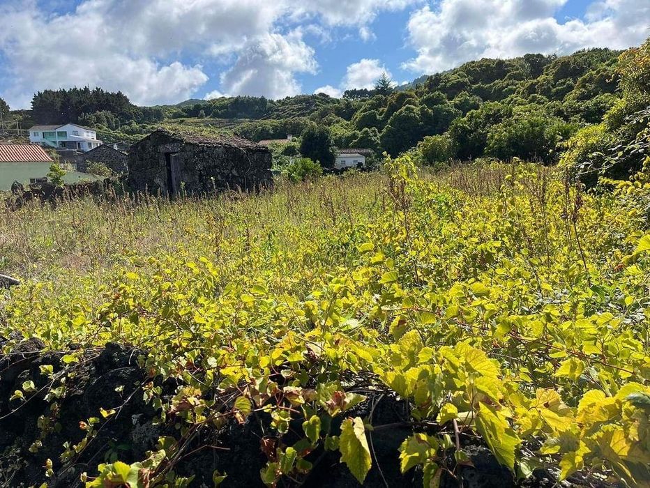Terreno   Calhau Piedade