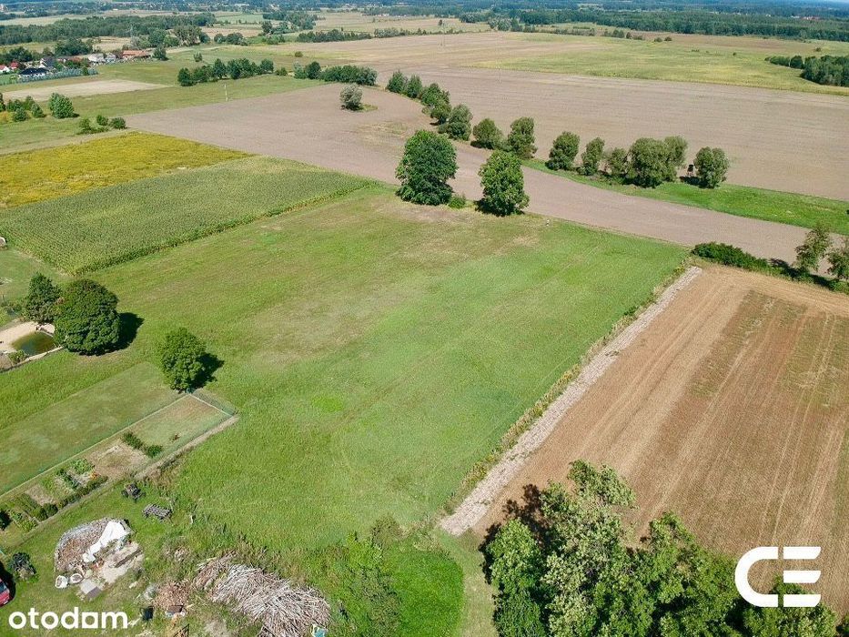 Grabowno Małe | 4825 m² | potencjał inwestycyjny - Widok 2