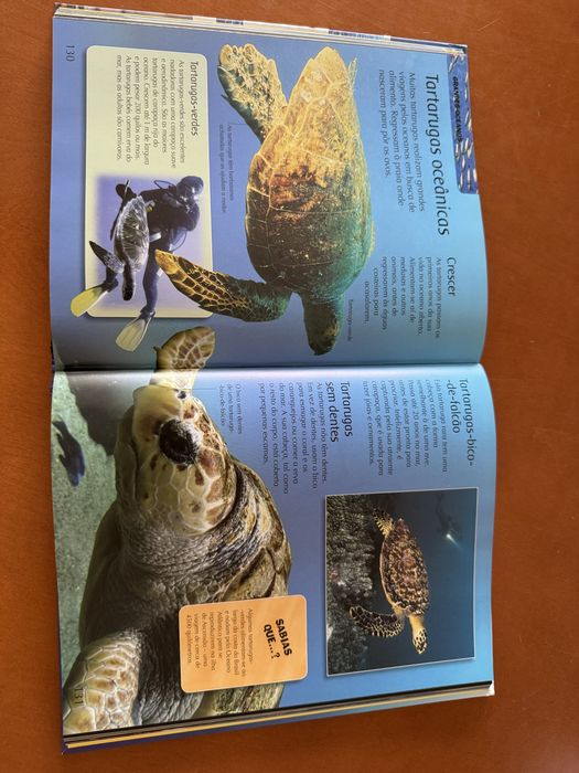 Livro Vida nos oceanos